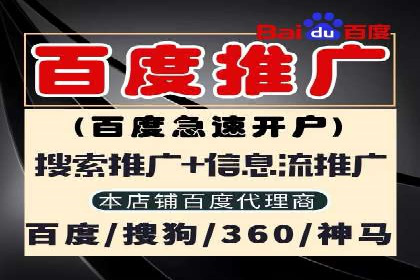 某公司如何通过SEM实现精准营销——从策略到执行的完整案例